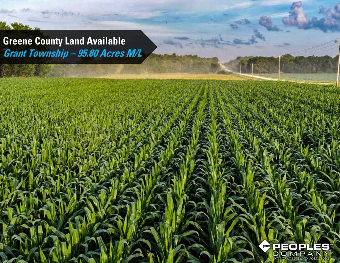 Listing Photo: Greene-Co-Rec-Land-Available-95-Acres-19559 (11)